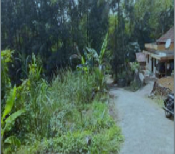 Biju Jacob, Kerala